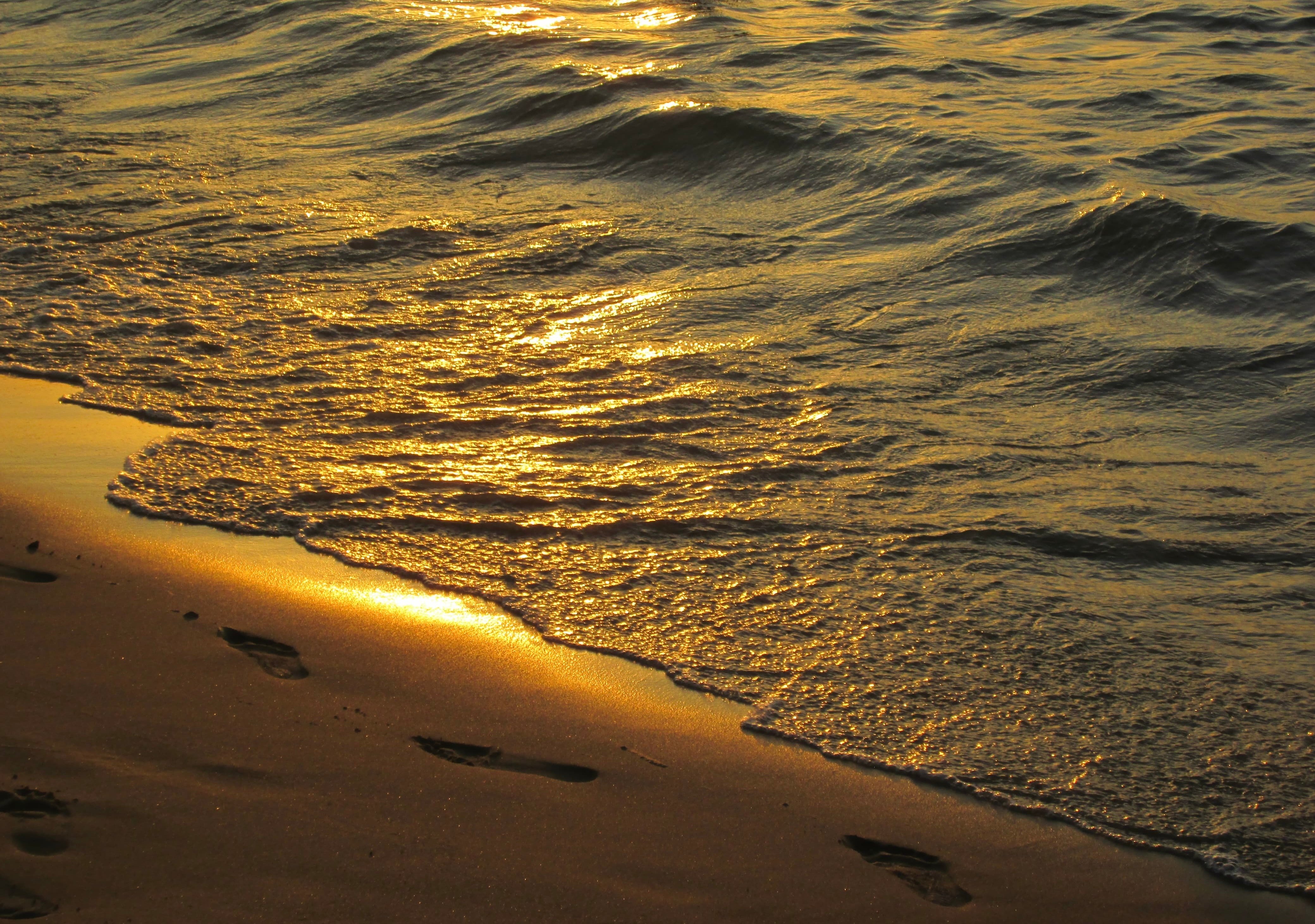 Sustainability in 2026: 7 reasons why the momentum isn't slowing down