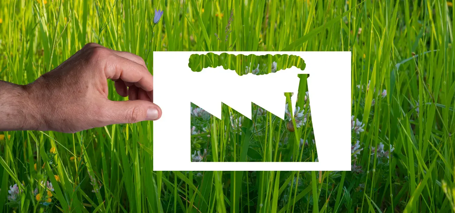 Six tips to avoid greenwashing