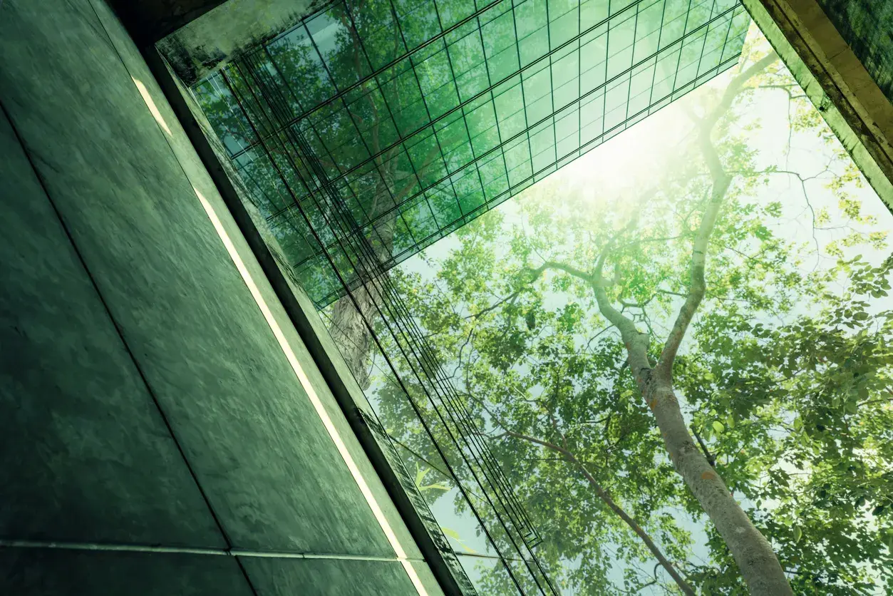 How to drive sustainability progress through benchmarking