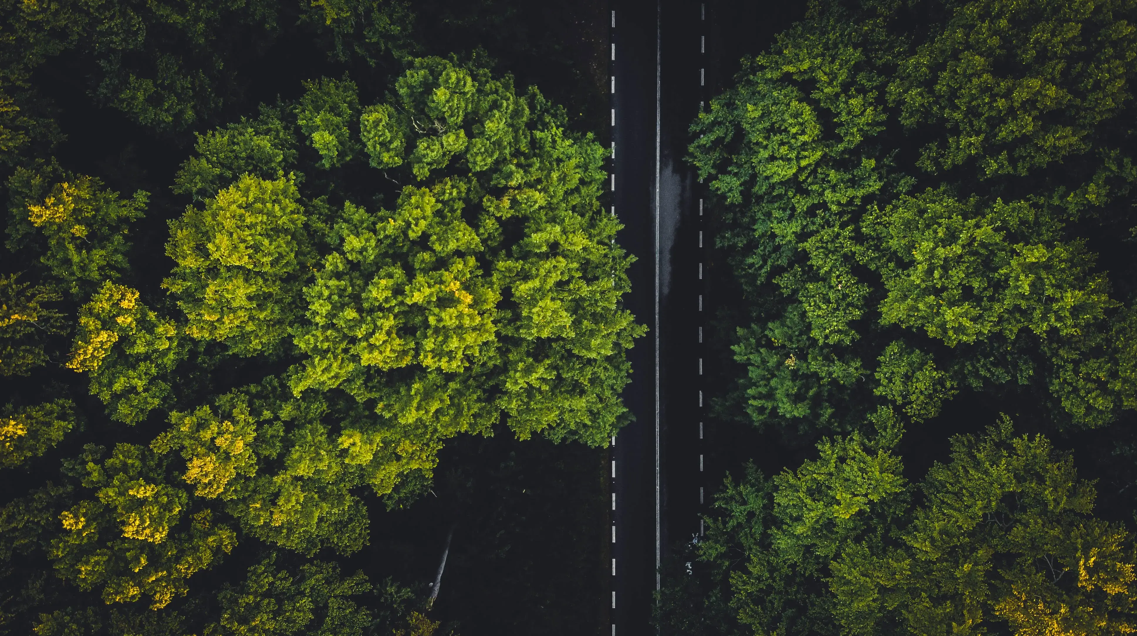4 trends shaping ESG strategy in 2023
