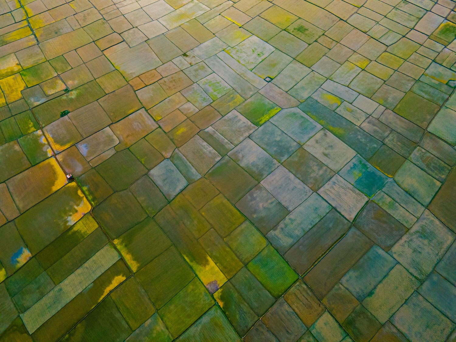 Greenwashing risk is shifting, not shrinking. Here's how to stay ahead.