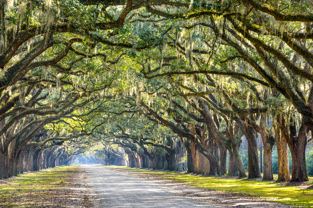 Rethinking sustainability reporting: tailoring communications for maximum impact
