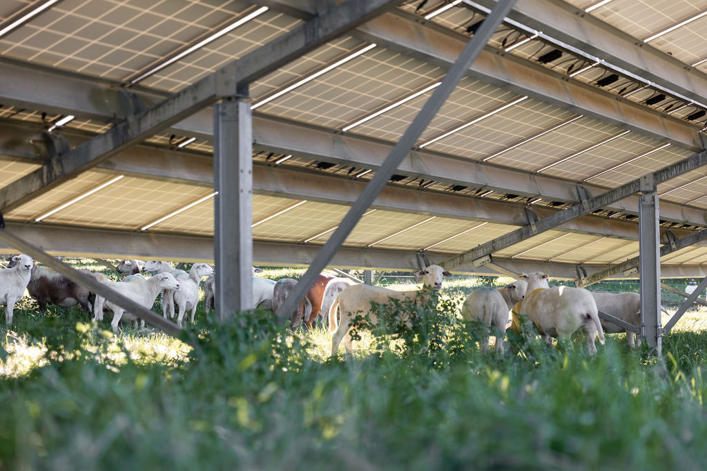 Solar steps up: Takeaways from the SEIA Sustainability Conference