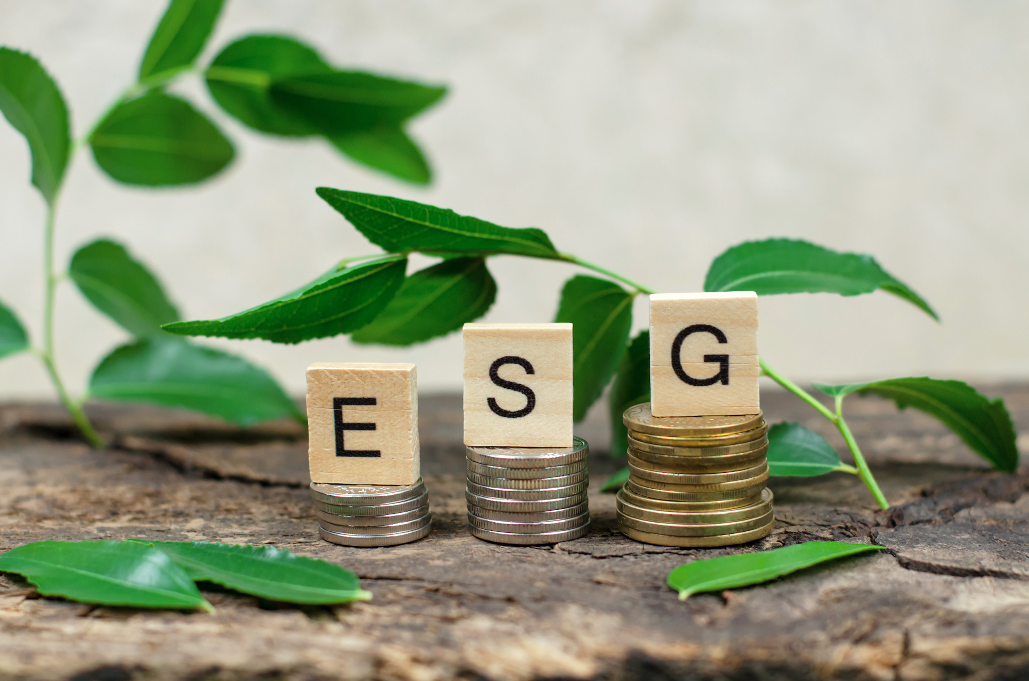 How to develop a successful sustainability strategy for your business
