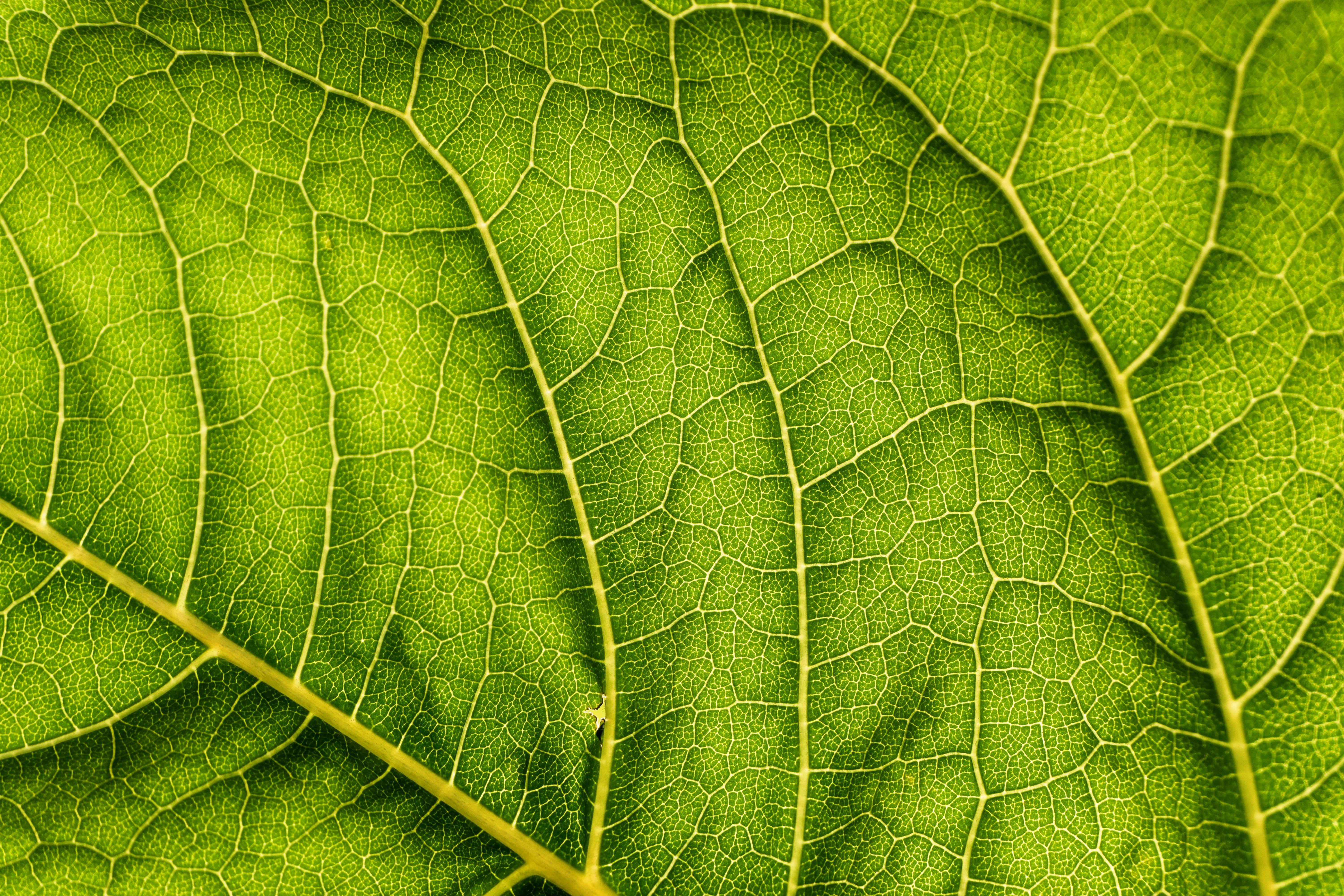 7 sustainability report trends transforming corporate communications in 2025
