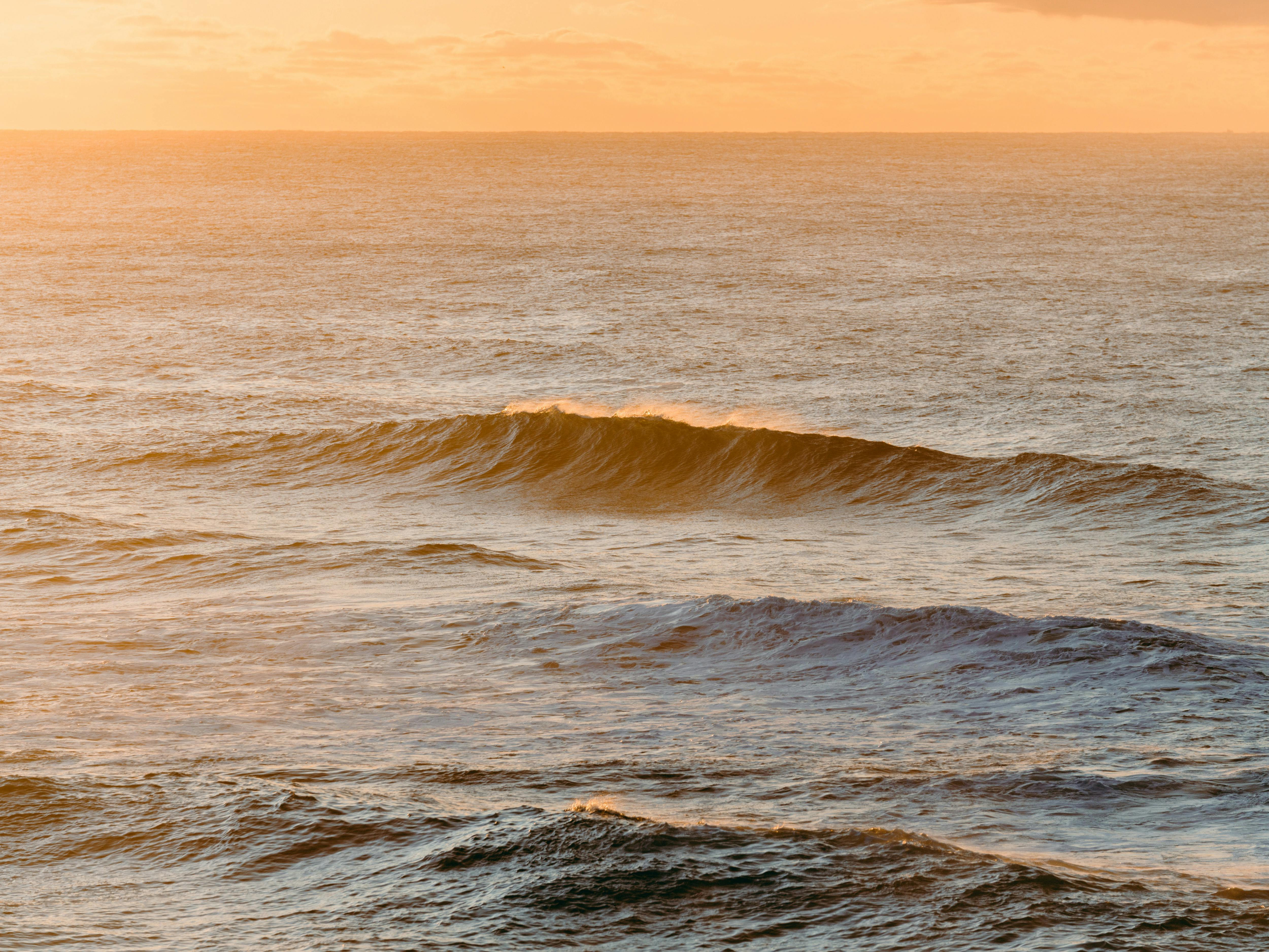 Sustainability in 2026: What we learned from a year of disruption