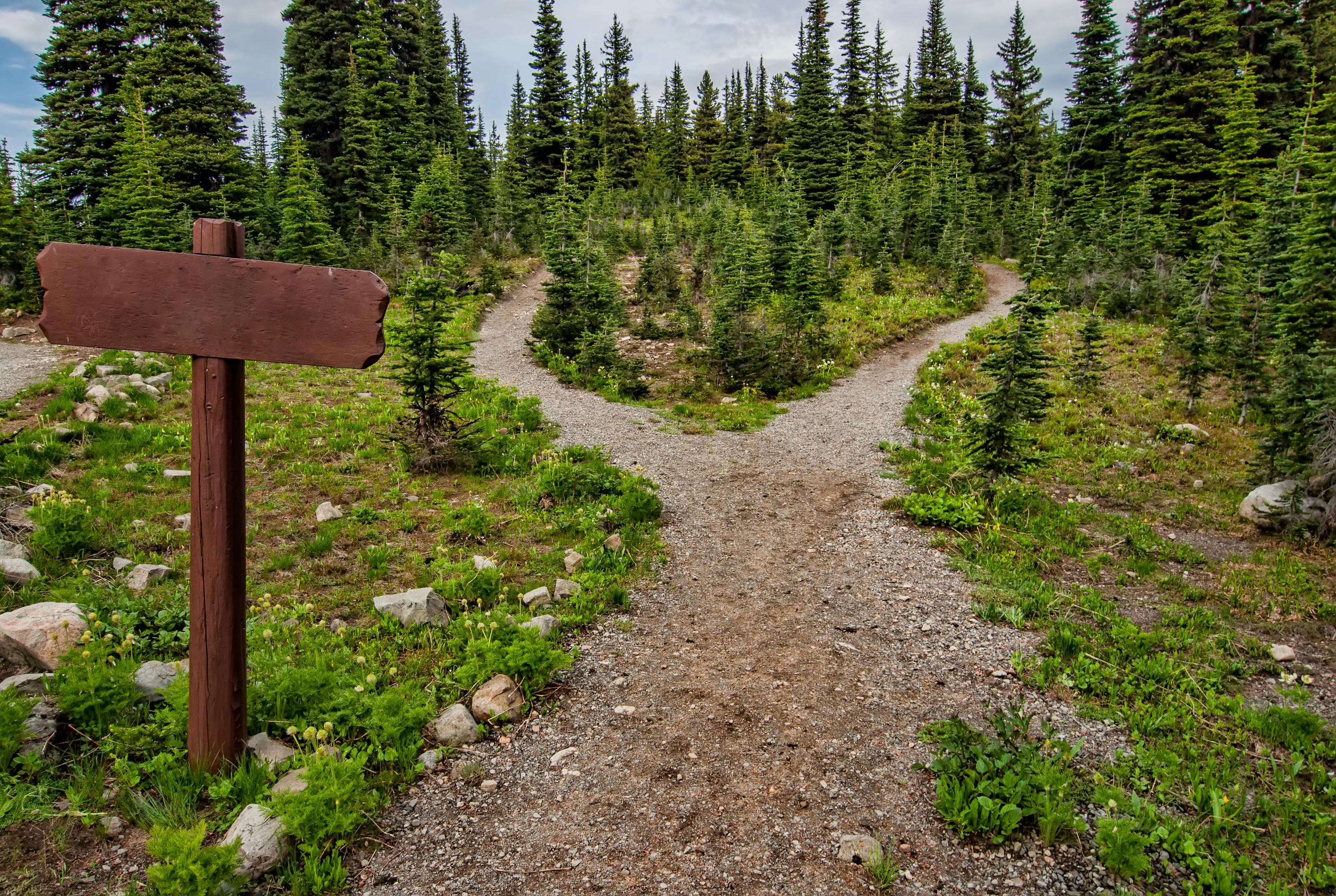 How to navigate conflict in an era of constant change