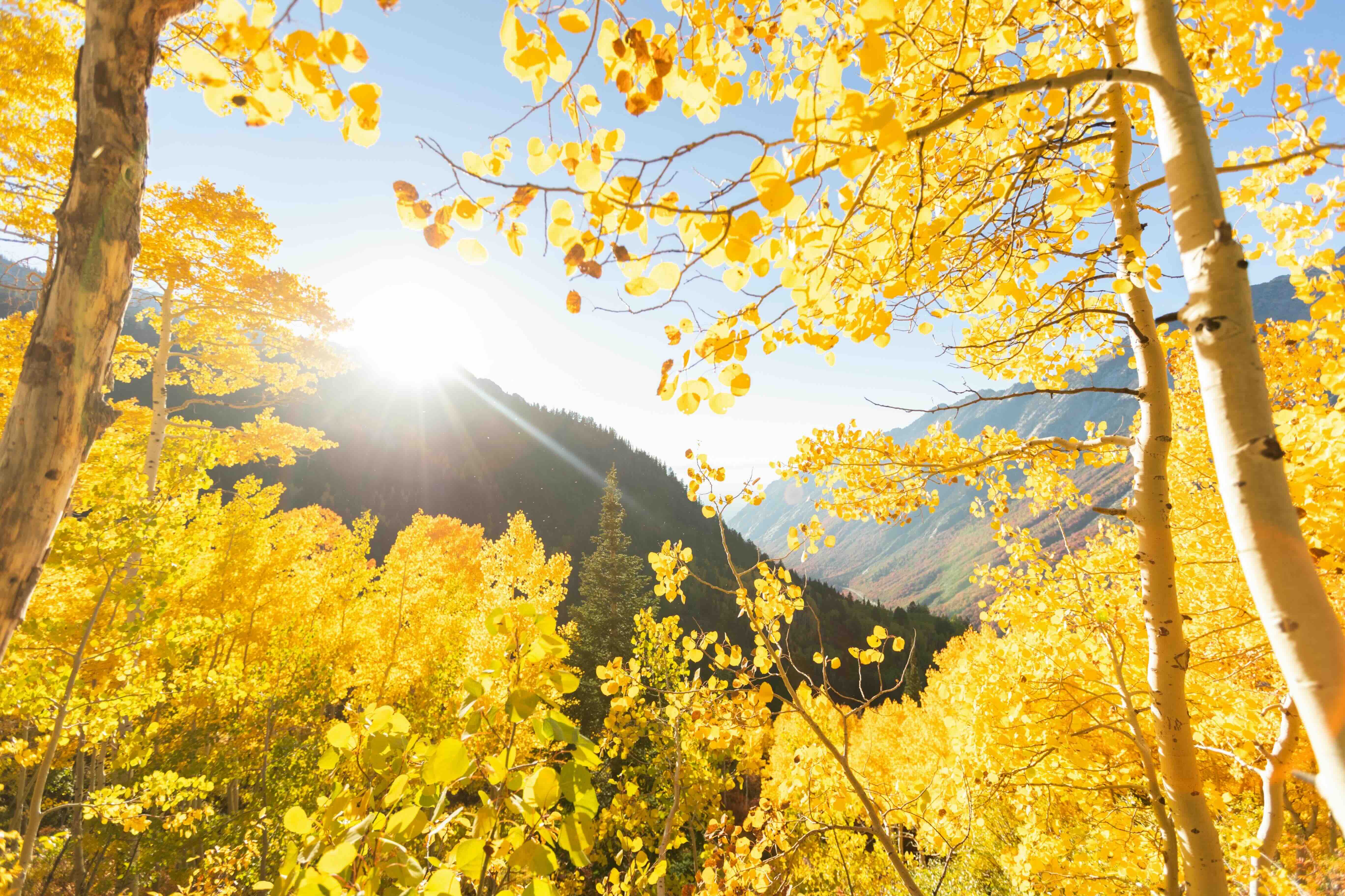 Sustainability reporting trends from the people who build the reports